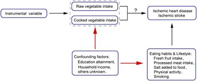 Socioeconomic status may affect association of vegetable intake with risk of ischemic cardio-cerebral vascular disease: a Mendelian randomization study
